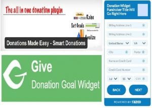 Read more about the article 9 List of Best Donation Widget to use for your Website